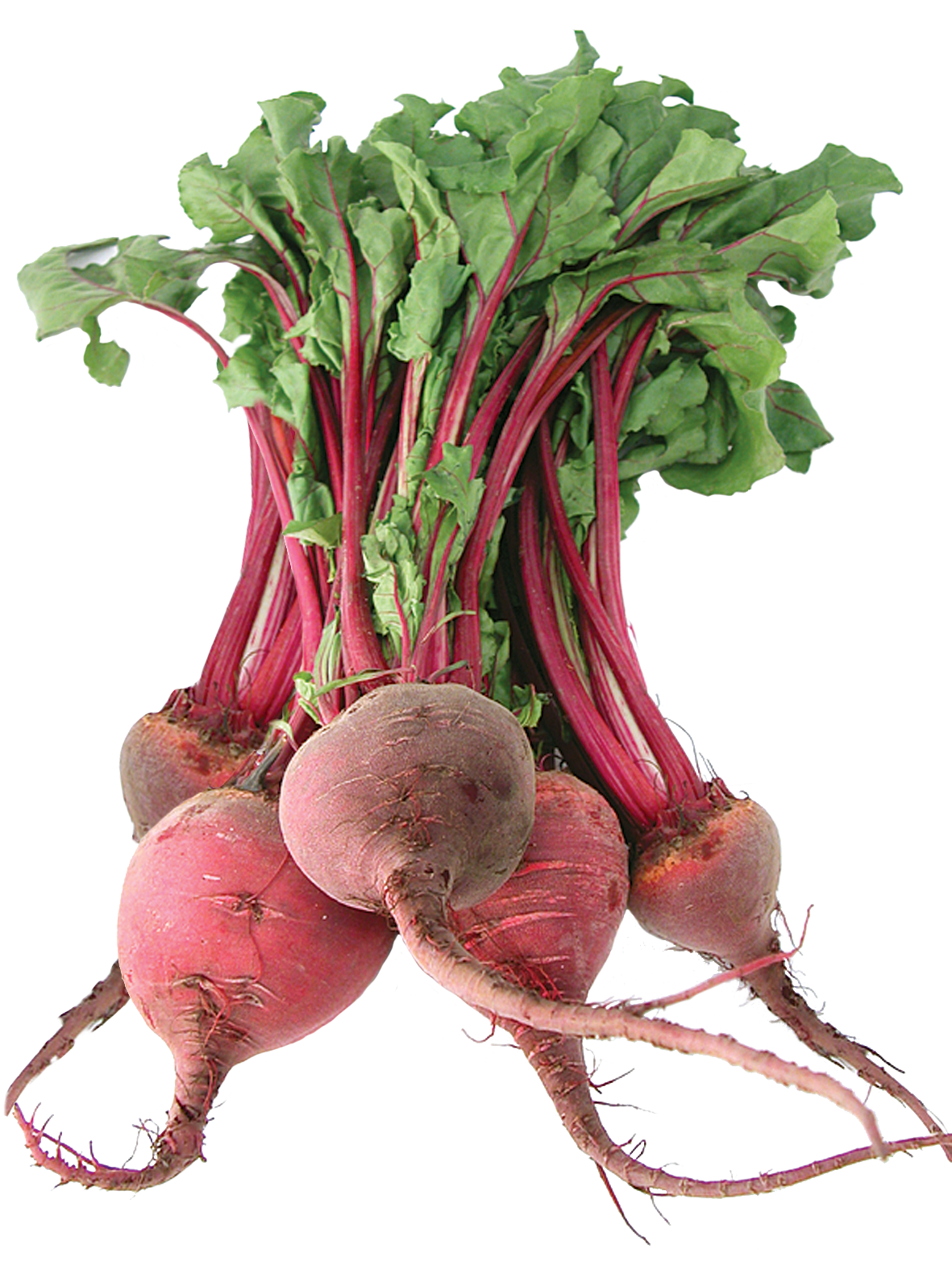 Beetroot Red Bunch Free HQ Image PNG Image