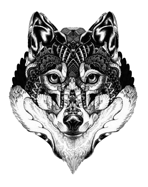 Gray Art Langtou Illustration Tattoo Wolf Drawing PNG Image