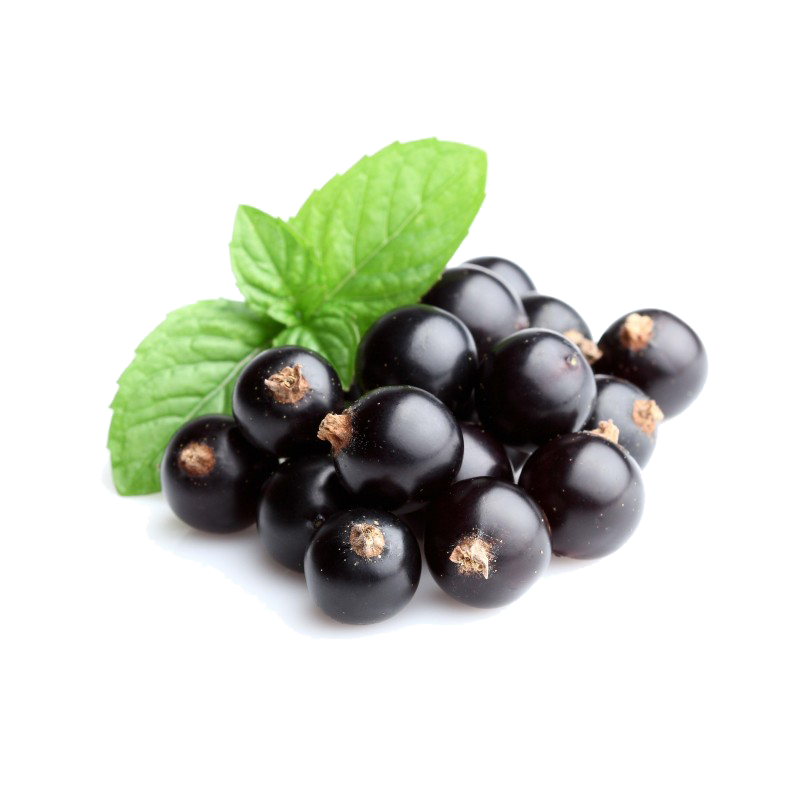 Black Currant Berries Organic Free Download Image PNG Image
