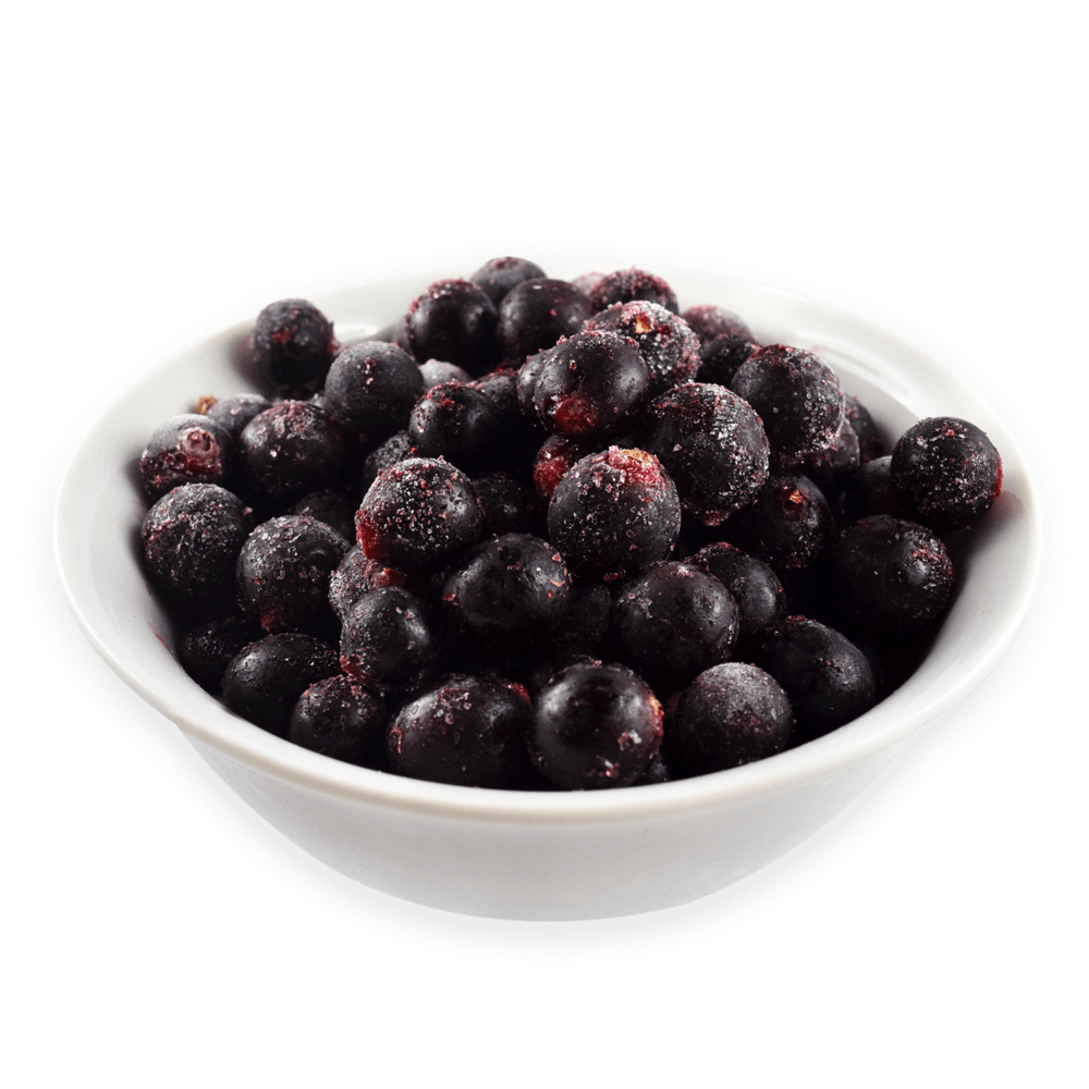 Currant Berries Black Bowl Free Clipart HQ PNG Image
