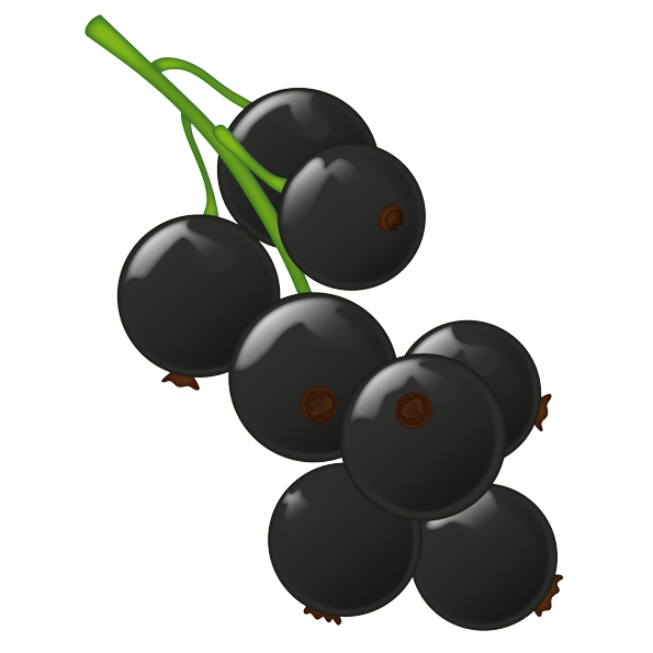 Currant Berries Black Emoji Free Clipart HD PNG Image