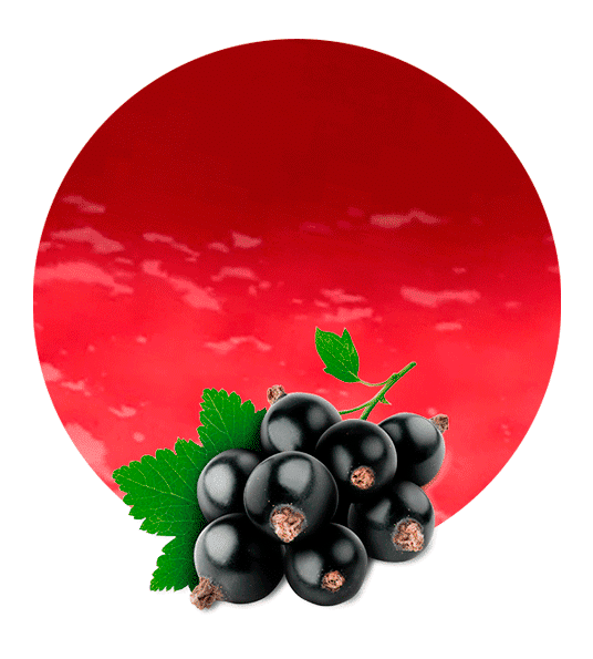 Currant Berries Black Icon Download HQ PNG Image