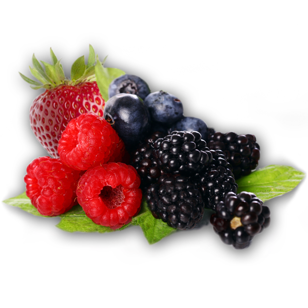 Berries Clipart PNG Image