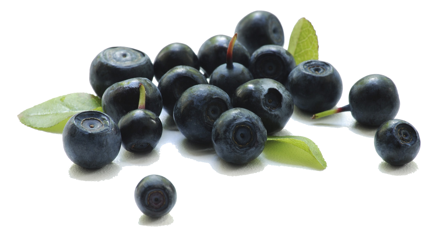 Berries Transparent Background PNG Image