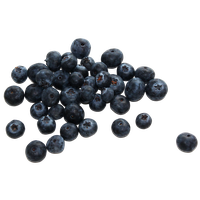 Download Berries Free PNG photo images and clipart | FreePNGimg