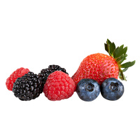 Download Berries Free PNG photo images and clipart | FreePNGimg