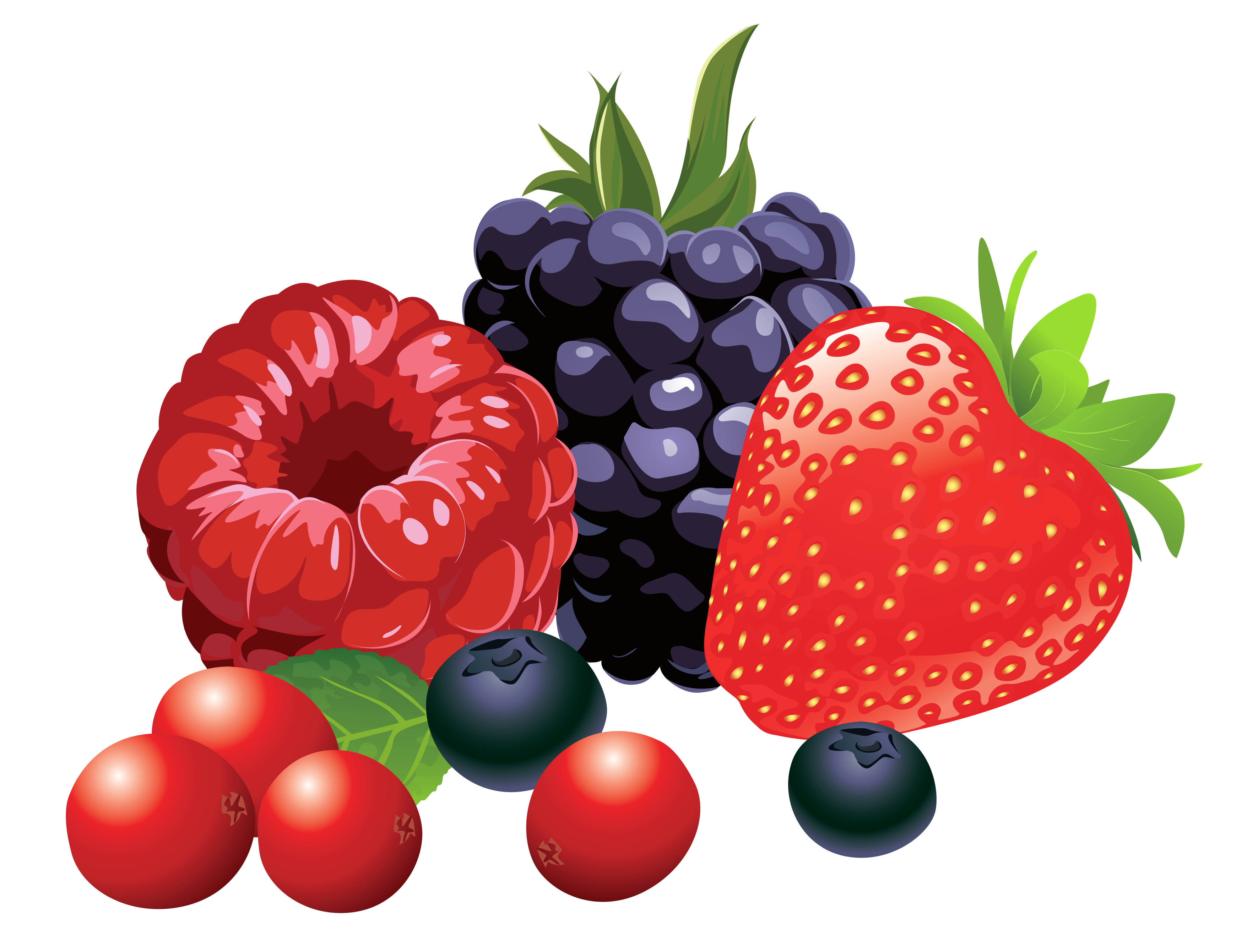 Mix Berry Free Photo Transparent PNG Image