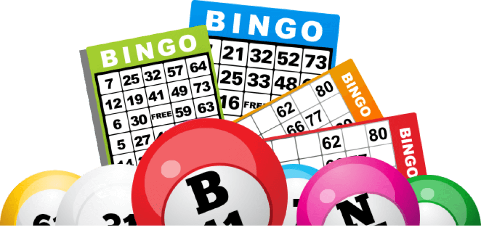 Bingo HD Image Free Transparent PNG Image