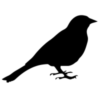 Bird PNG
