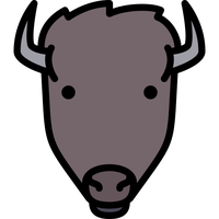 Bison Transparent PNG Image