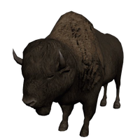 Bison PNG