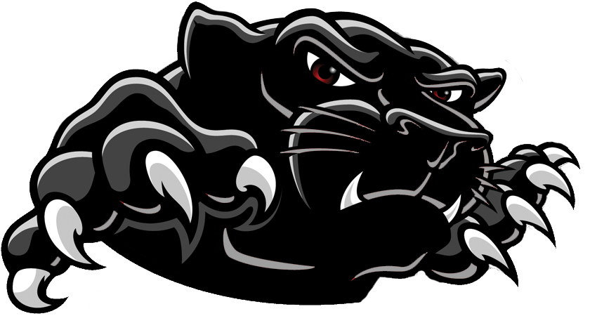 Download Black Panther Logo Transparent Background HQ PNG Image ...