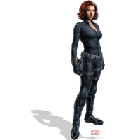 Black Widow Png Image PNG