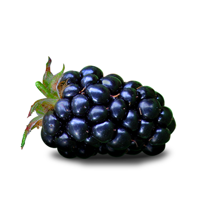 Blackberry Fruit Png File PNG Image