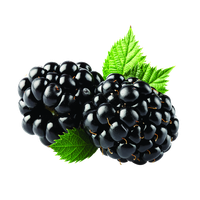 Download Blackberry Free PNG photo images and clipart | FreePNGImg