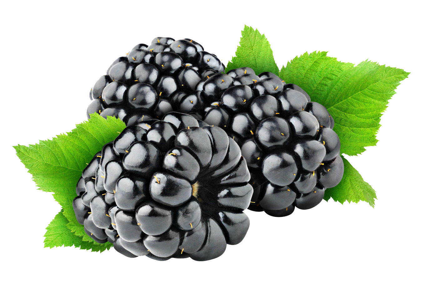 blackberries fruit wallpaper