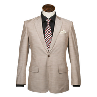 Blazer Transparent