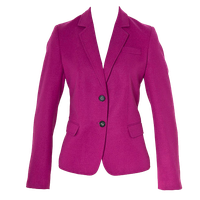 Blazer Free Download Png