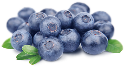 Blueberry Hd PNG Image