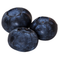 Download Blueberry Free PNG photo images and clipart | FreePNGImg