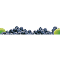 Download Blueberry Free Png Photo Images And Clipart Freepngimg