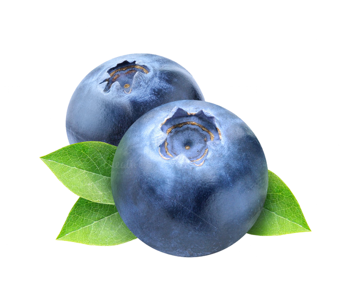 Blueberry Photos PNG Image
