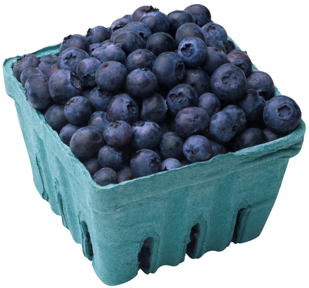Blueberry Image PNG Image