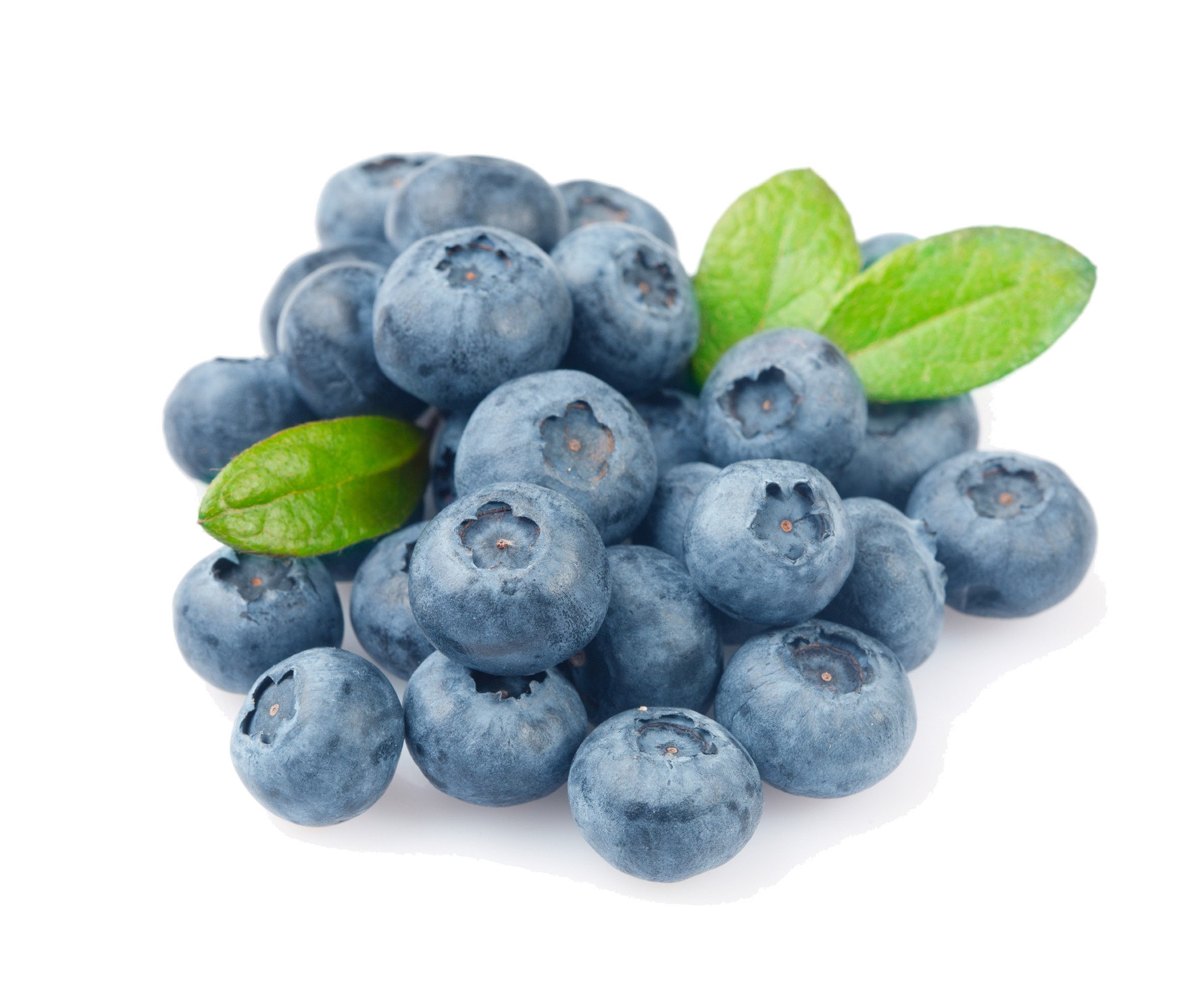 Blueberry Photo PNG Image