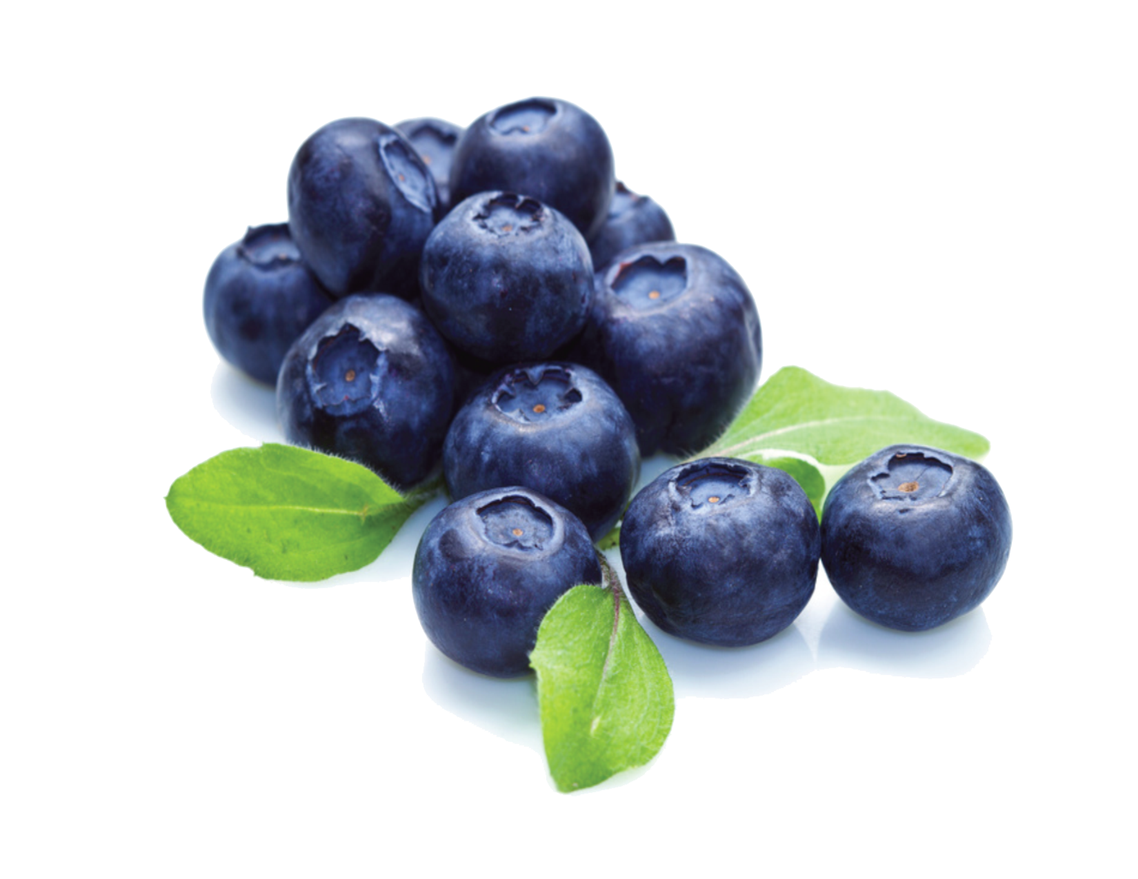 Blueberry File PNG Image