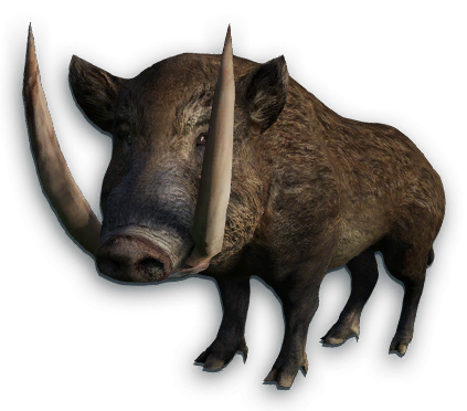 Boar Transparent PNG Image