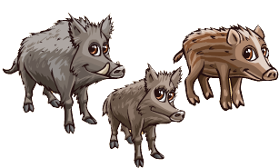 Boar Transparent PNG Image