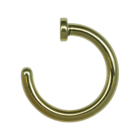 Body piercing PNG