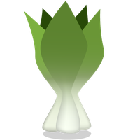 Bok Choy Image PNG Image