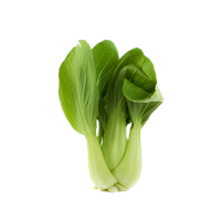 Bok Choy Clipart PNG Image