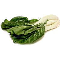 Bok Choy File PNG Image
