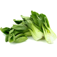 Bok Choy Photos PNG Image