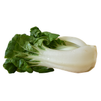 Bok Choy Hd PNG Image