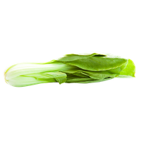 Bok Choy Transparent Background PNG Image