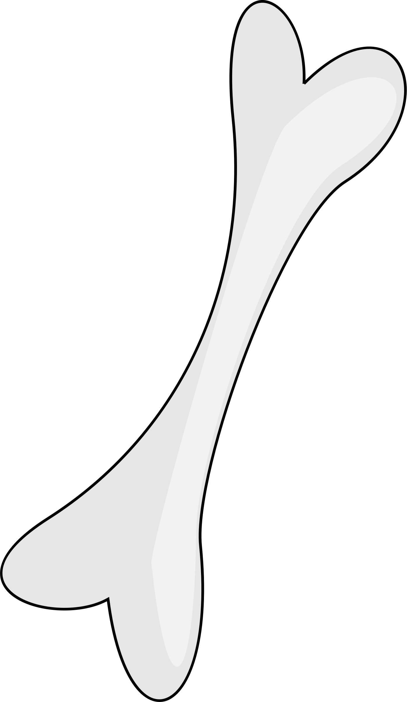 Bone Transparent PNG Image