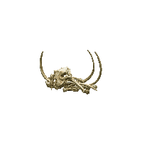 Bones Transparent Transparent PNG Image