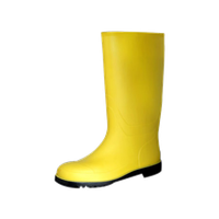 Boot Picture PNG