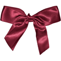 Download Bow Free PNG photo images and clipart | FreePNGImg