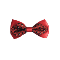 Bow tie Transparent PNG Image