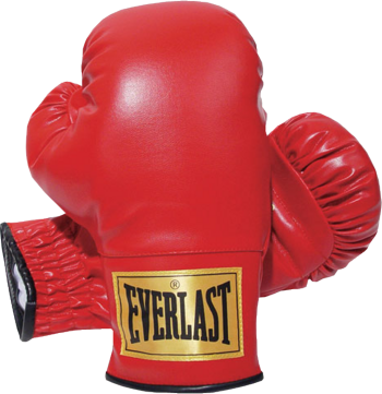 Boxing Gloves Png Hd PNG Image