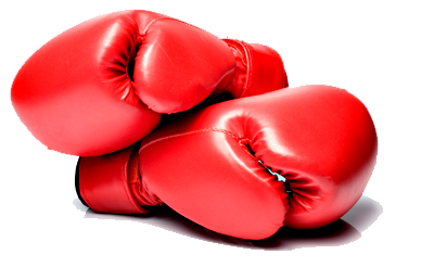 Boxing Gloves Png Pic PNG Image