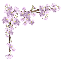 Cherry Floating Material Border PNG File HD PNG Image