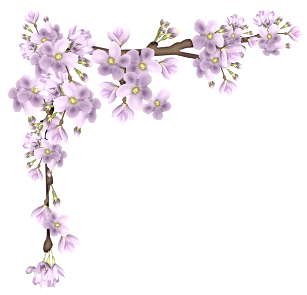 Cherry Floating Material Border PNG File HD PNG Image