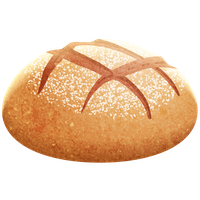 Vector Bun Bread Free Download Image PNG