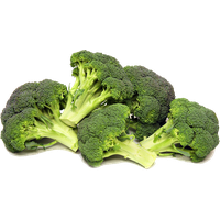 Broccoli Picture PNG Image