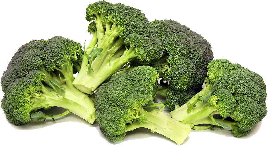 Broccoli Picture PNG Image
